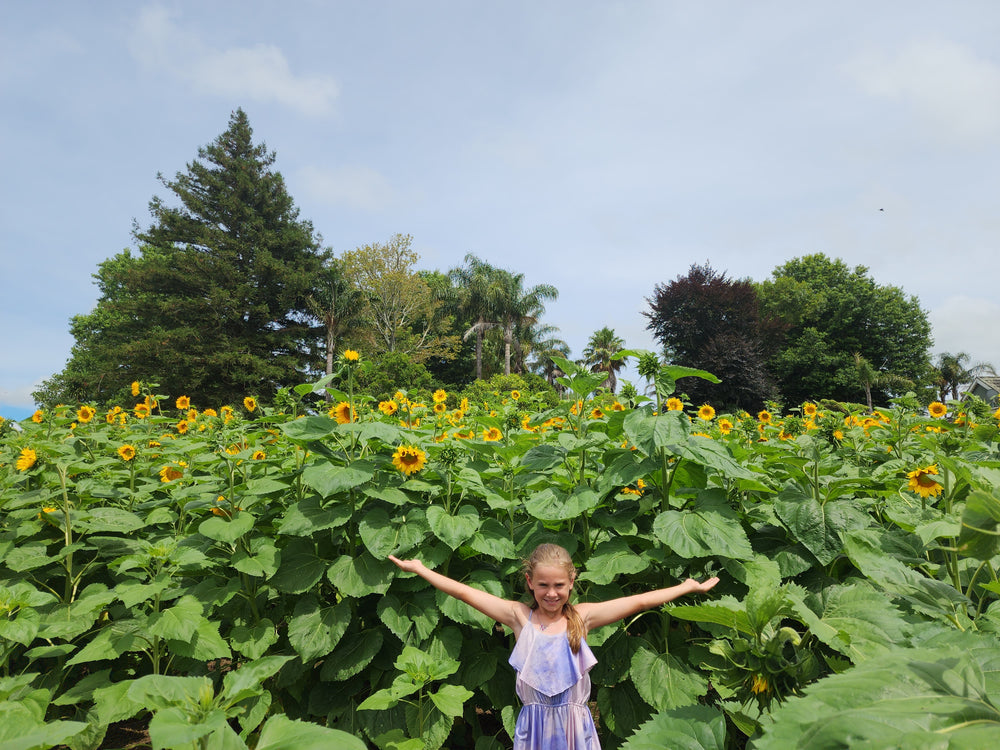 Sunshine Fields