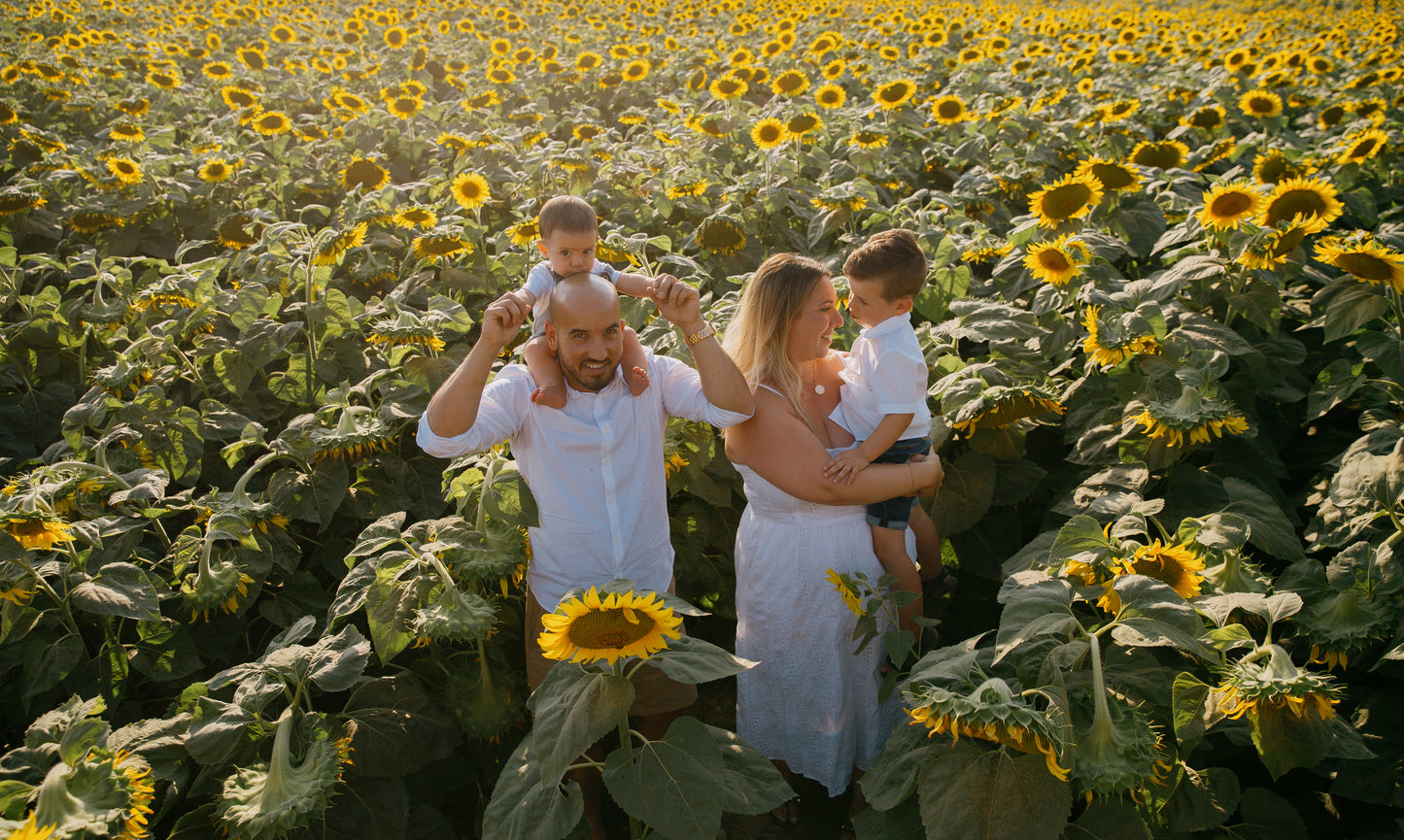 Sunshine Fields